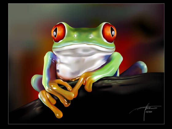 red-eye-frog-wallpapers_4675_1024x768.jpg