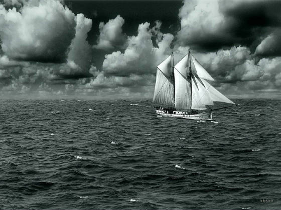 sailing-vessel-002.jpg