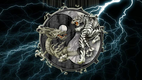 dragon_and_tiger.jpg